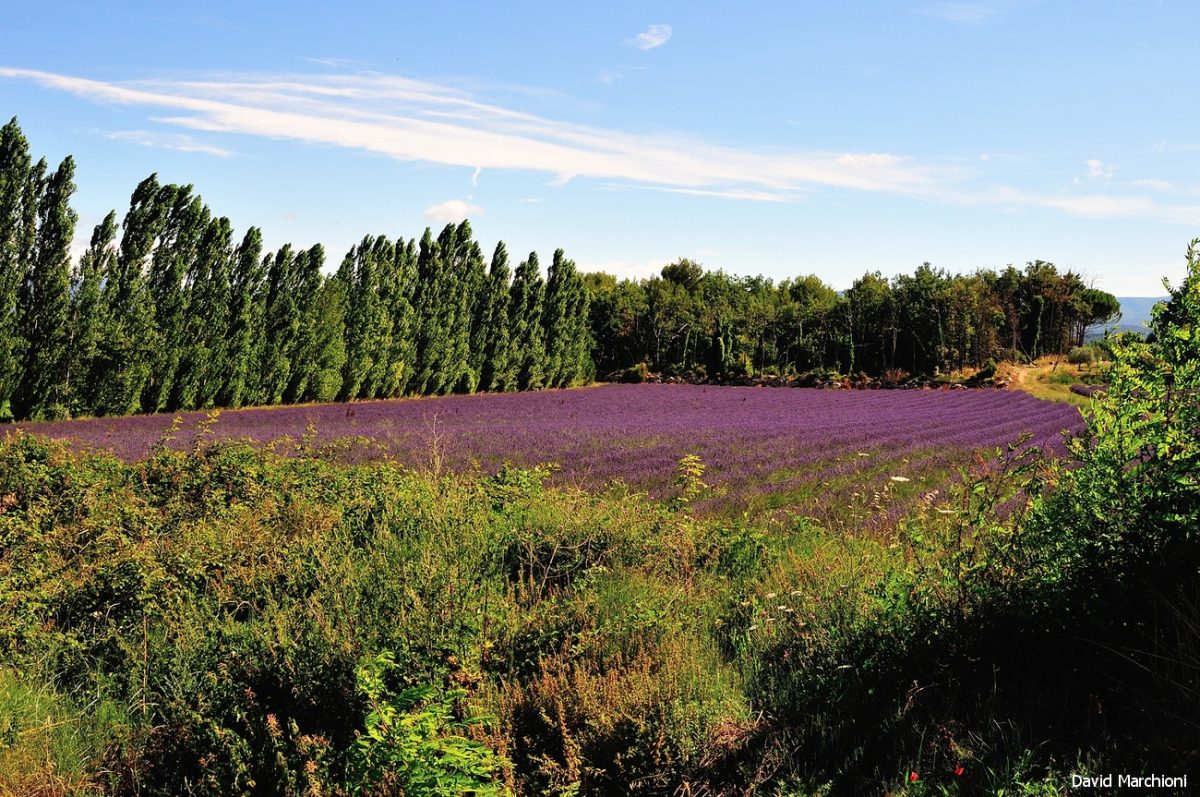 Luberon