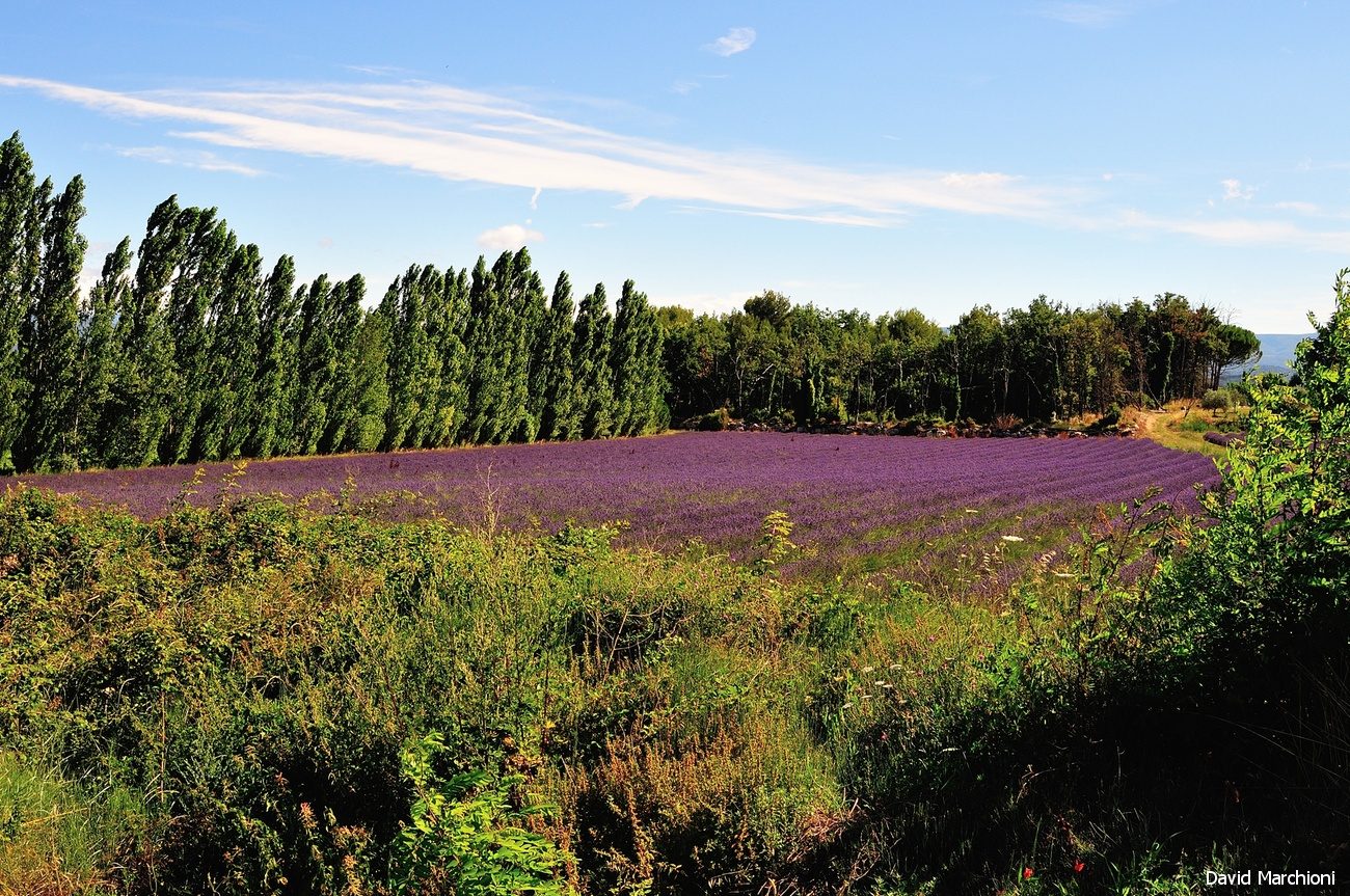 Luberon — 27