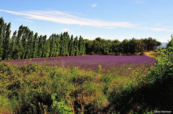 Luberon