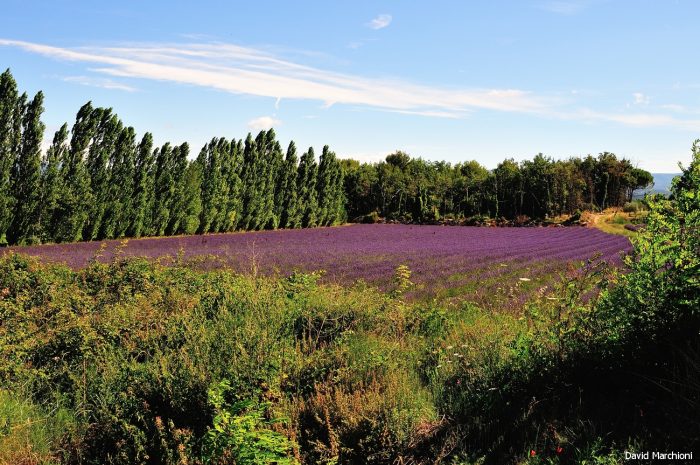 Luberon — 27