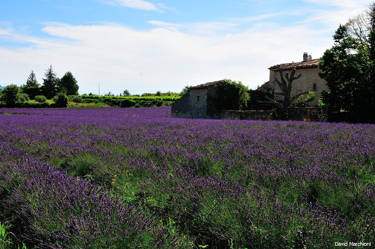 Luberon — 28