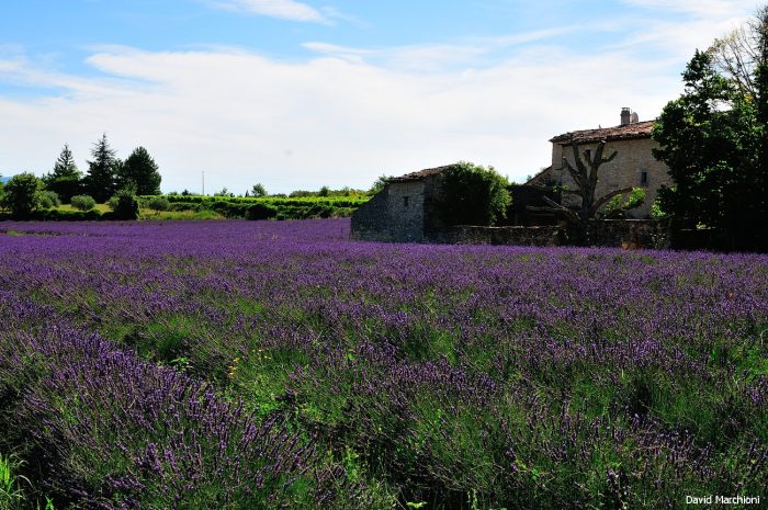 Luberon — 28
