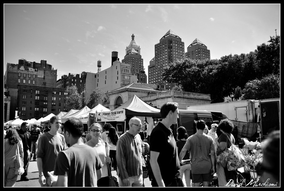New York City — 135
