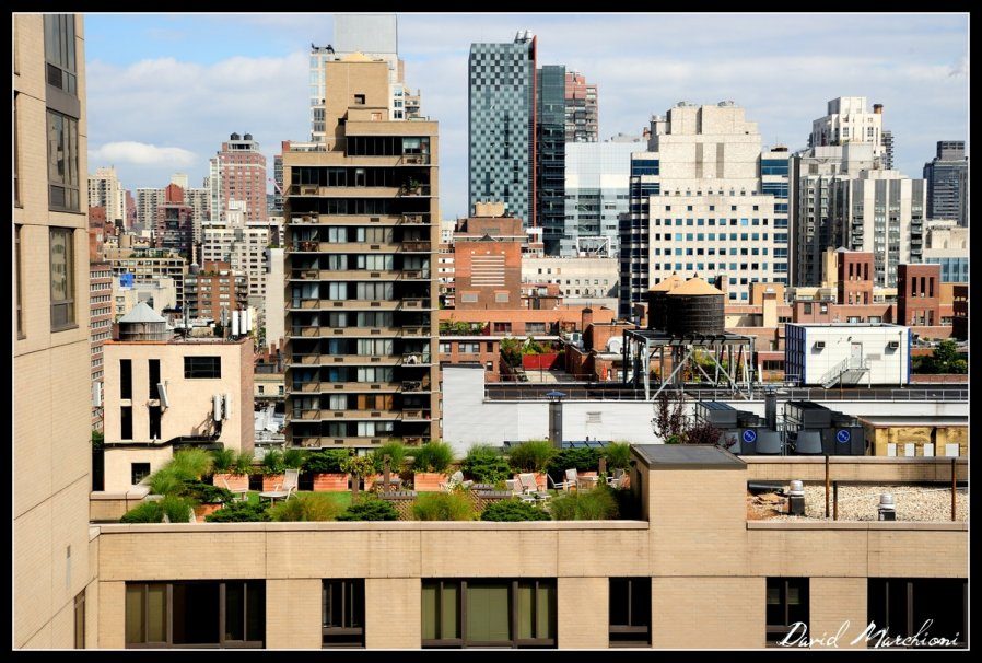 New York City — 242