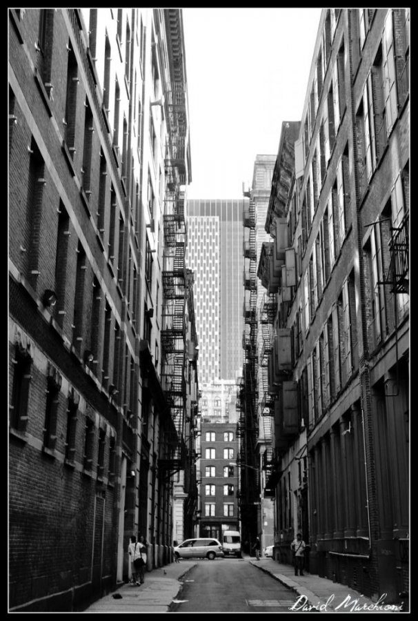 New York City — 283