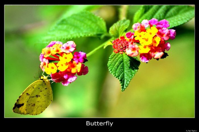 Photographie n°09